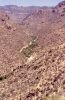 PICTURES/Tucson Area - Saguaro Natl Park, Sabino Canyon & San Xavier/t_Canyon1.jpg